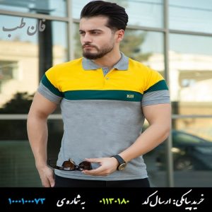 خرید پستی تیشرت مردانه مدل Zisa (زرد) , تیشرت , خرید تیشرت , قیمت تیشرت , عکس تیشرت , تیشرت مردانه , تیشرت پسرانه , تیشرت زرد , تیشرت طوسی , تیشرت زیسا , تیشرت باس , پولوشرت , boss T-shirt , Zisa T-shirt,