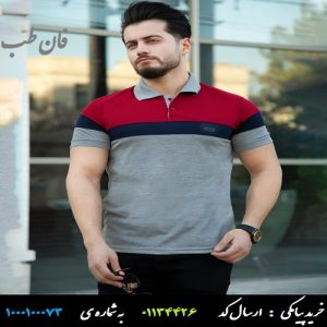 خرید پستی تیشرت مردانه مدل Zisa (زرشکی) , boss T-shirt , Zisa T-shirt , پولوشرت , تیشرت , تیشرت باس , تیشرت پسرانه , تیشرت زیسا , تیشرت طوسی , تیشرت مردانه , خرید تیشرت , عکس تیشرت , قیمت تیشرت , تیشرت زرشکی,