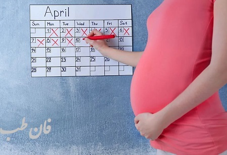 نام‌گذاری ماه‌های حاملگی, نامگذاری ماههای بارداری براساس رشد جنین,نامگذاری ماه های جنینی,naming pregnancy months,
