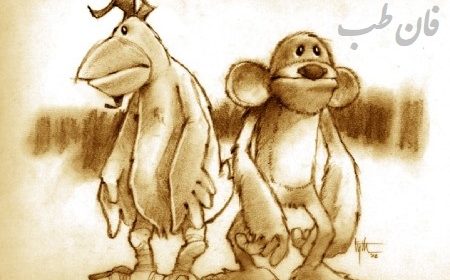 story wise chicken monkey,مرغ دانا و میمون,حکایت مرغ دانا و میمون,داستان مرغ دانا و میمون,حکایت مرغ دانا و میمون,