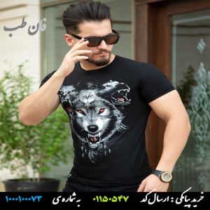 تیشرت مردانه مدل W831