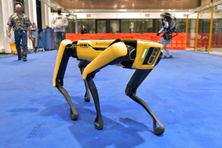 سگ رباتیک بوستون داینامکس