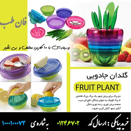 عکس محصول گلدان جادویی Fruits Plant